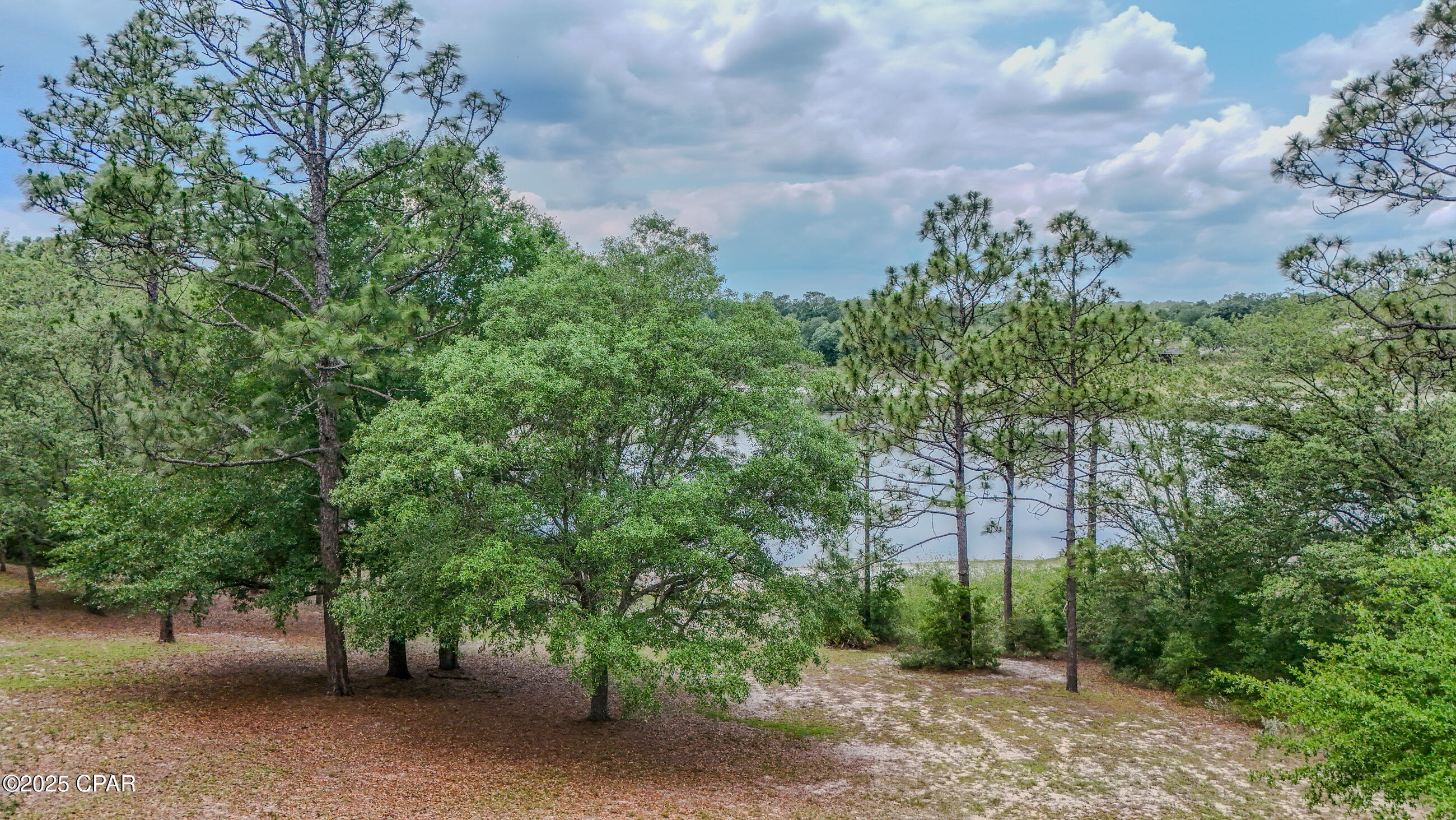 Image 60 For 4936 Grassy Pond Road