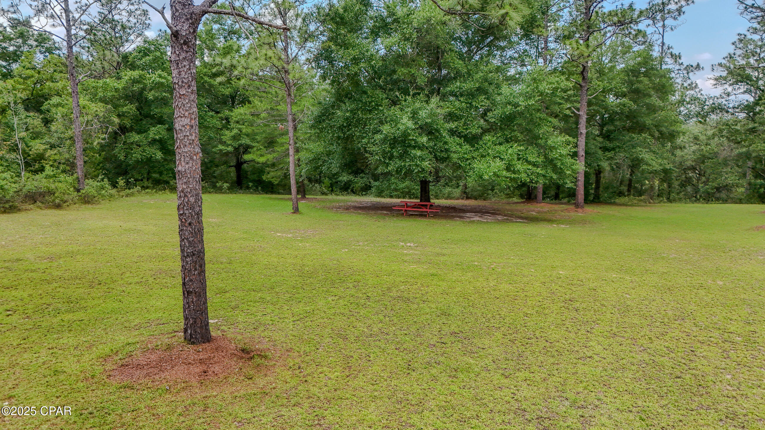 Image 65 For 4936 Grassy Pond Road