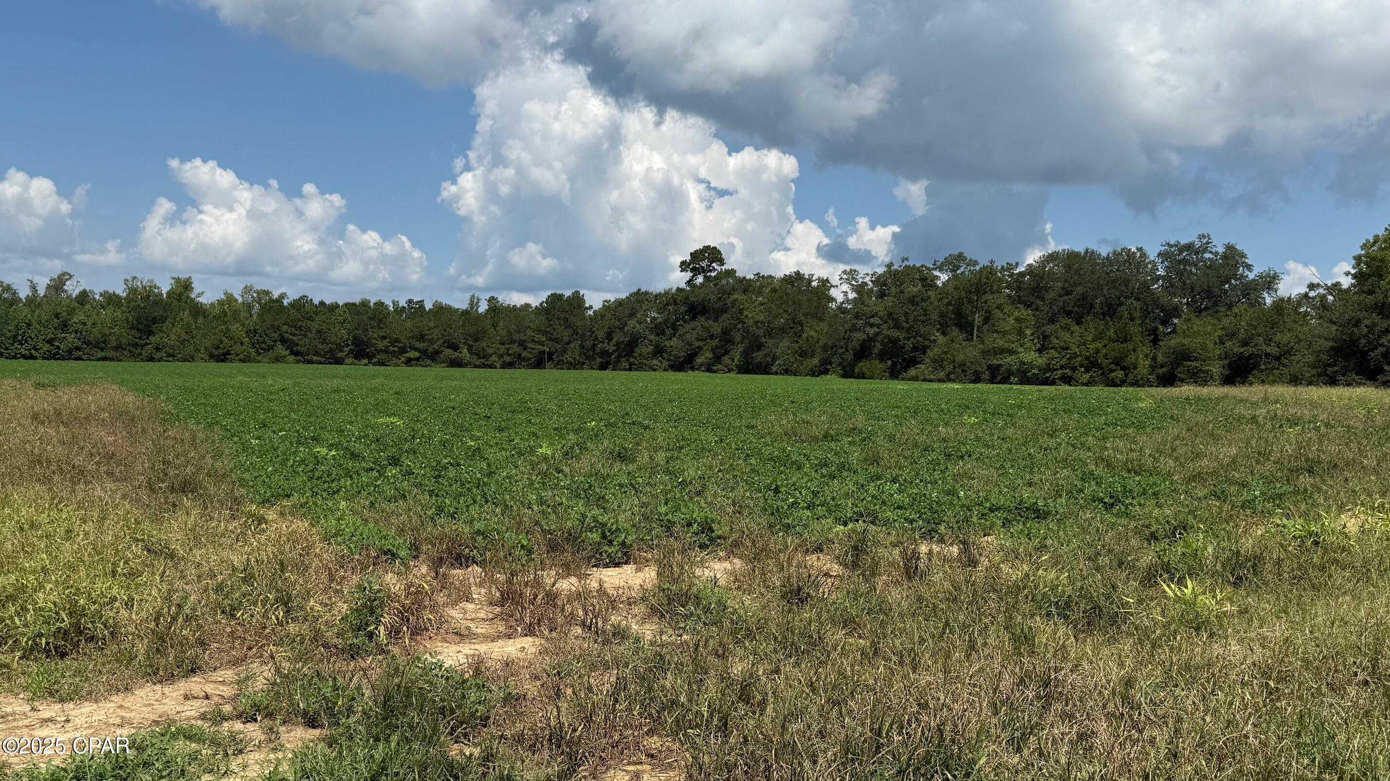 Image 2 For 2183 Highway 73