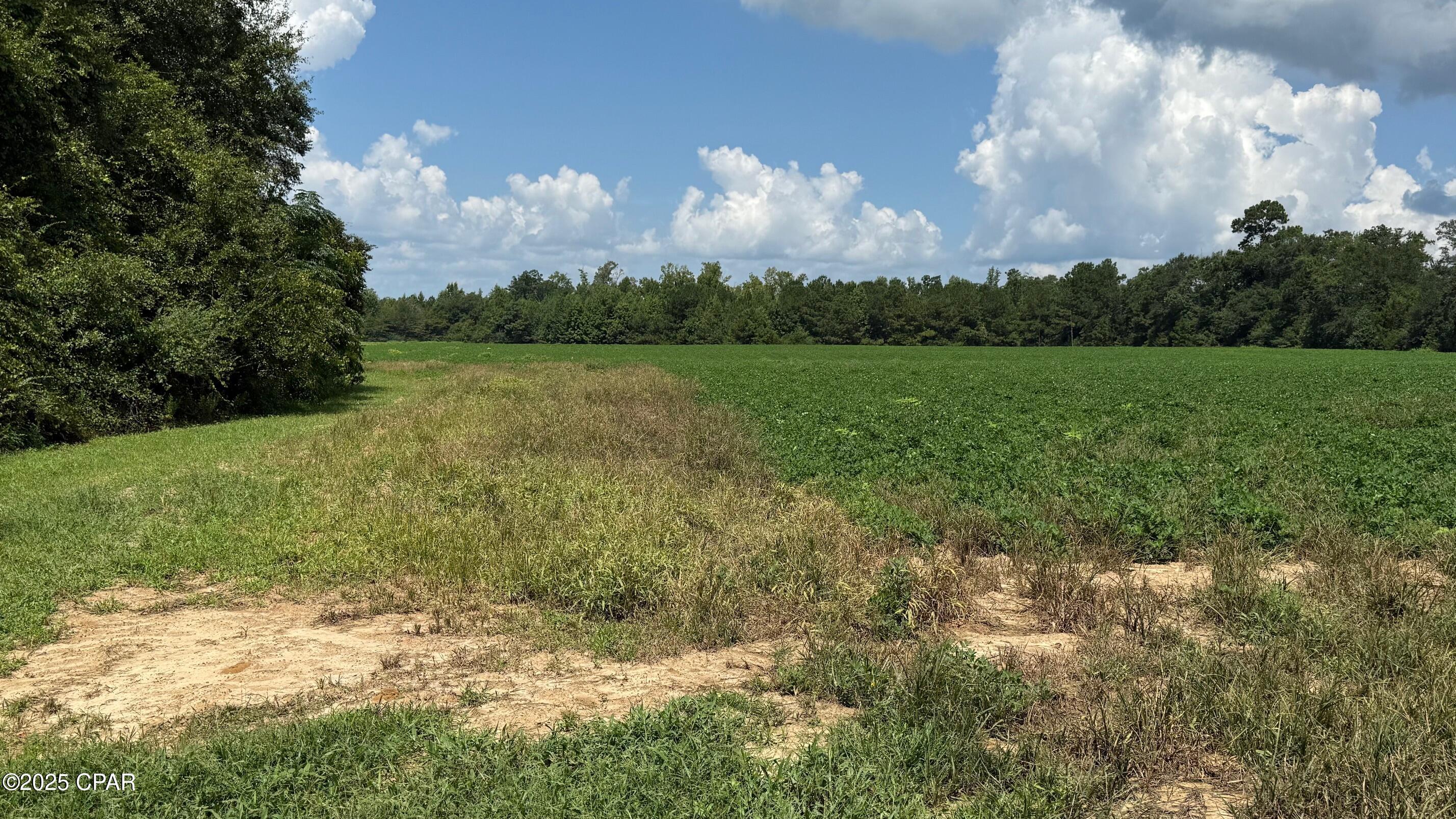 Image 3 For 2183 Highway 73