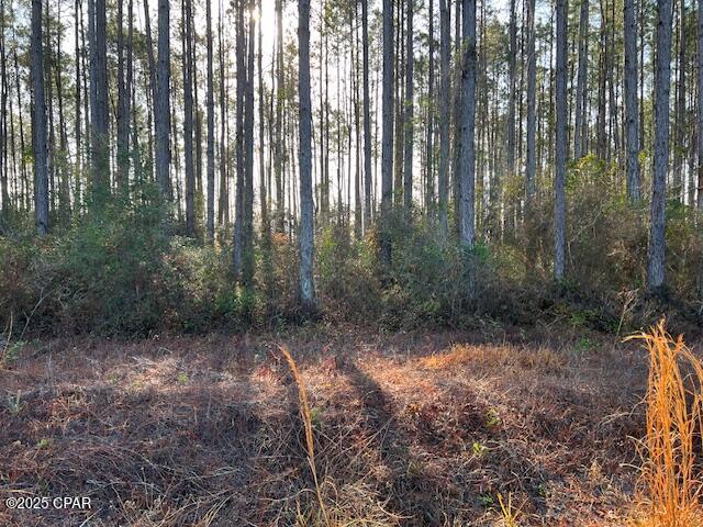 1st image of 12 Douglas Landing Rd, Wewahitchka, FL 32465 | MLS# 774540