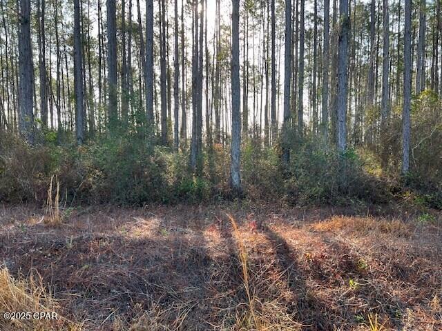 3rd image of 12 Douglas Landing Rd, Wewahitchka, FL 32465 | MLS# 774540