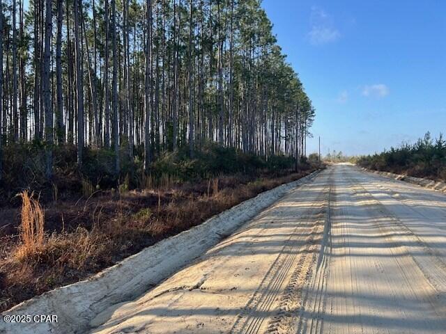 4th image of 12 Douglas Landing Rd, Wewahitchka, FL 32465 | MLS# 774540