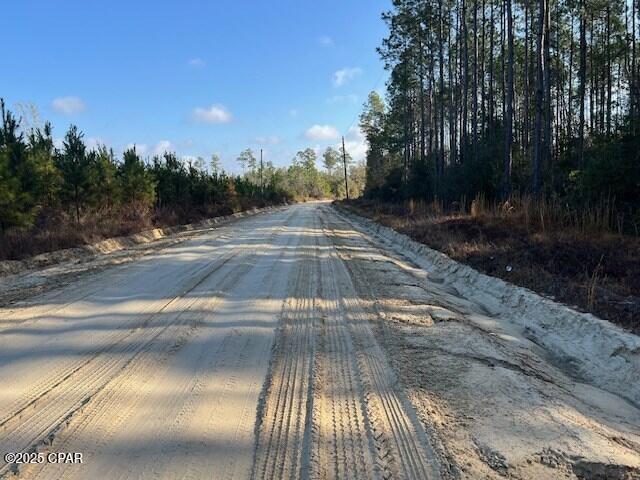 5th image of 12 Douglas Landing Rd, Wewahitchka, FL 32465 | MLS# 774540