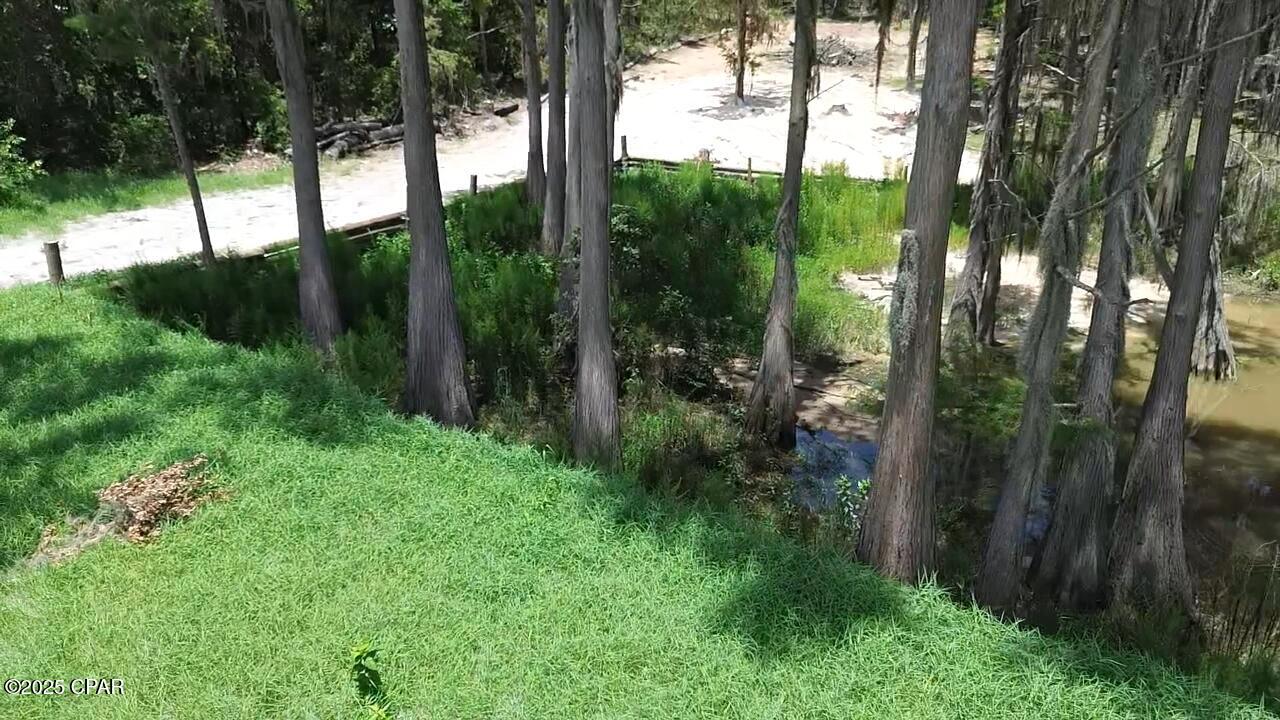 Image 5 For Lot 12 Hicks Lake Trail