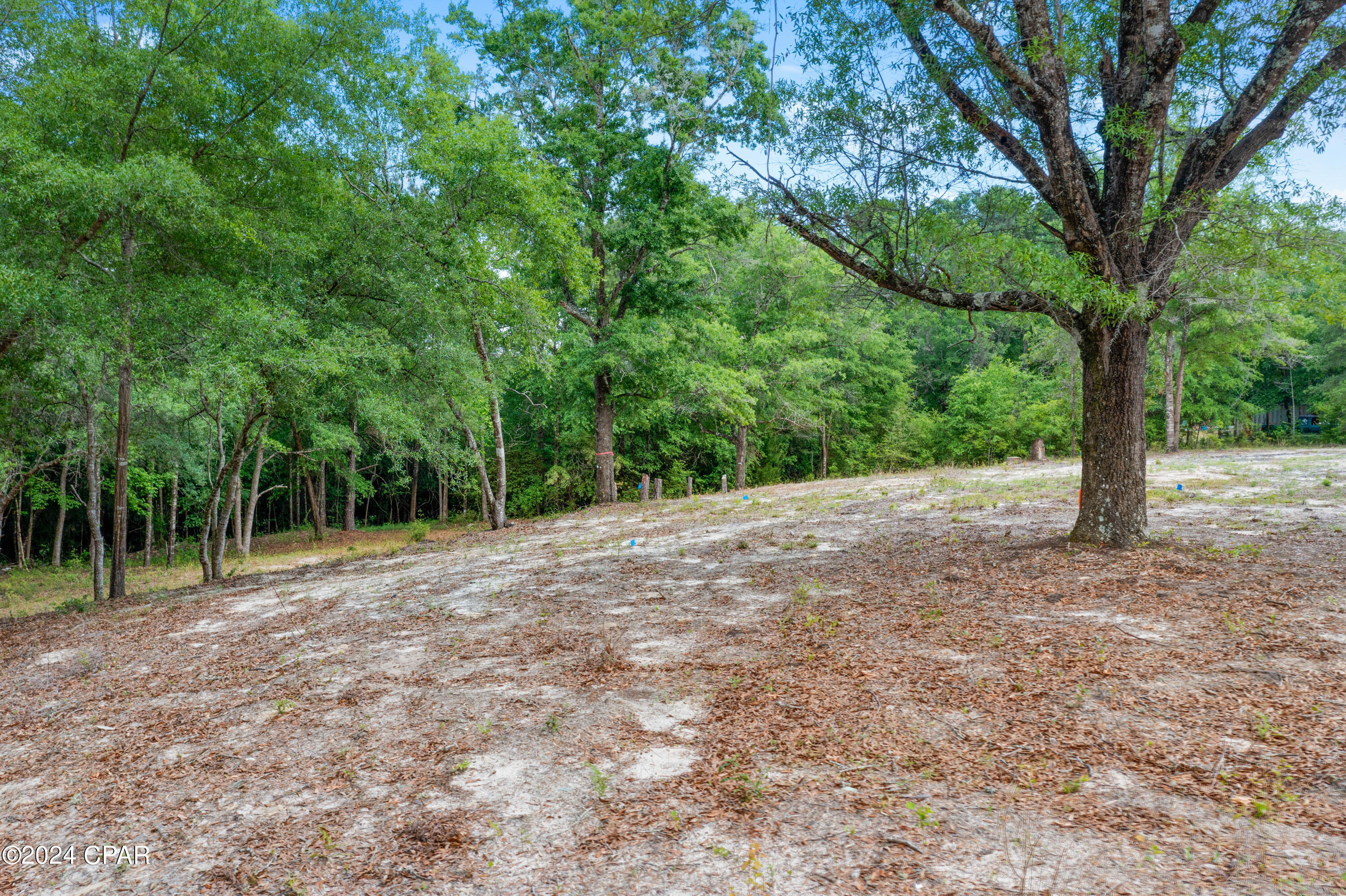 Image 6 For 3513 River Road