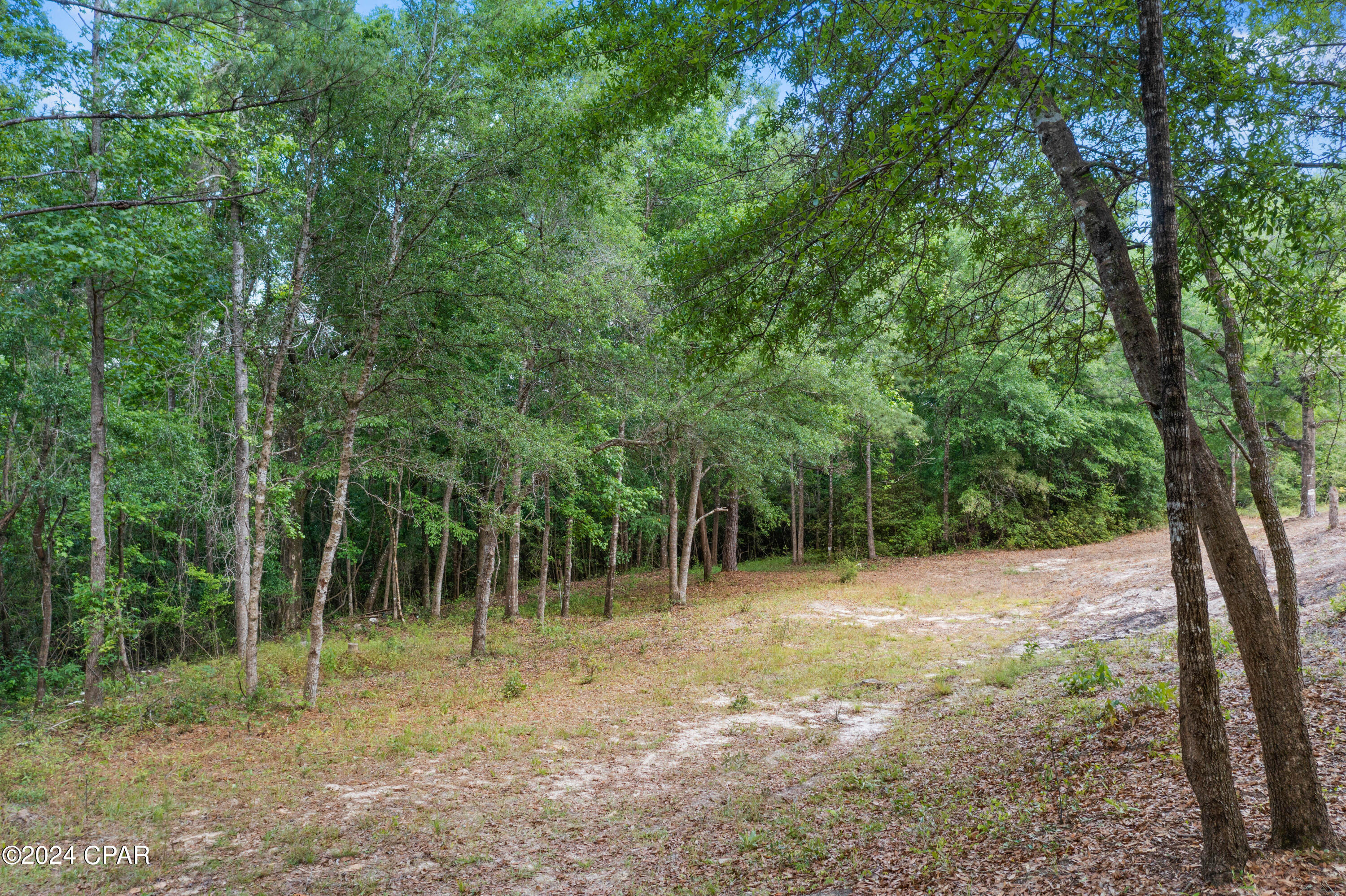 Image 7 For 3513 River Road