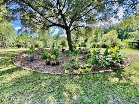 Image 19 For 2852 Feral Lane