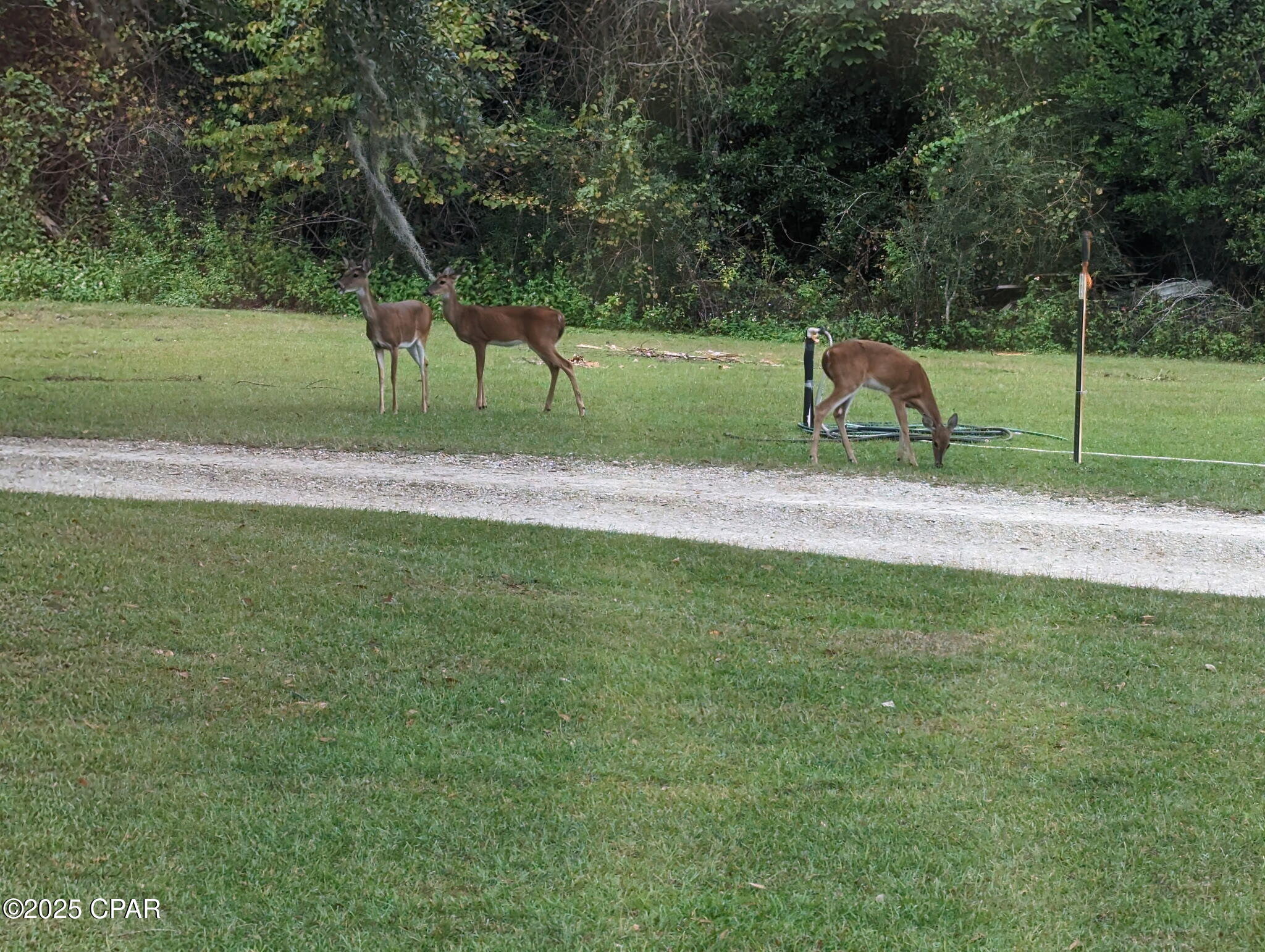 Image 26 For 7031 Hamilton Road