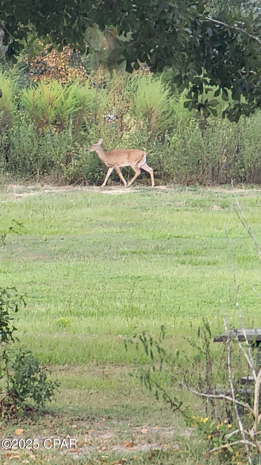 Image 39 For 7031 Hamilton Road