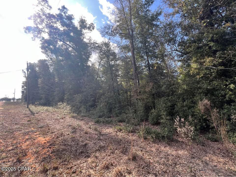 Image 2 For 0 Kokomo Avenue