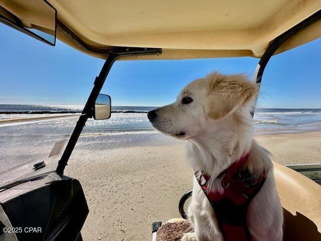 Image 73 For 136 Oak Street