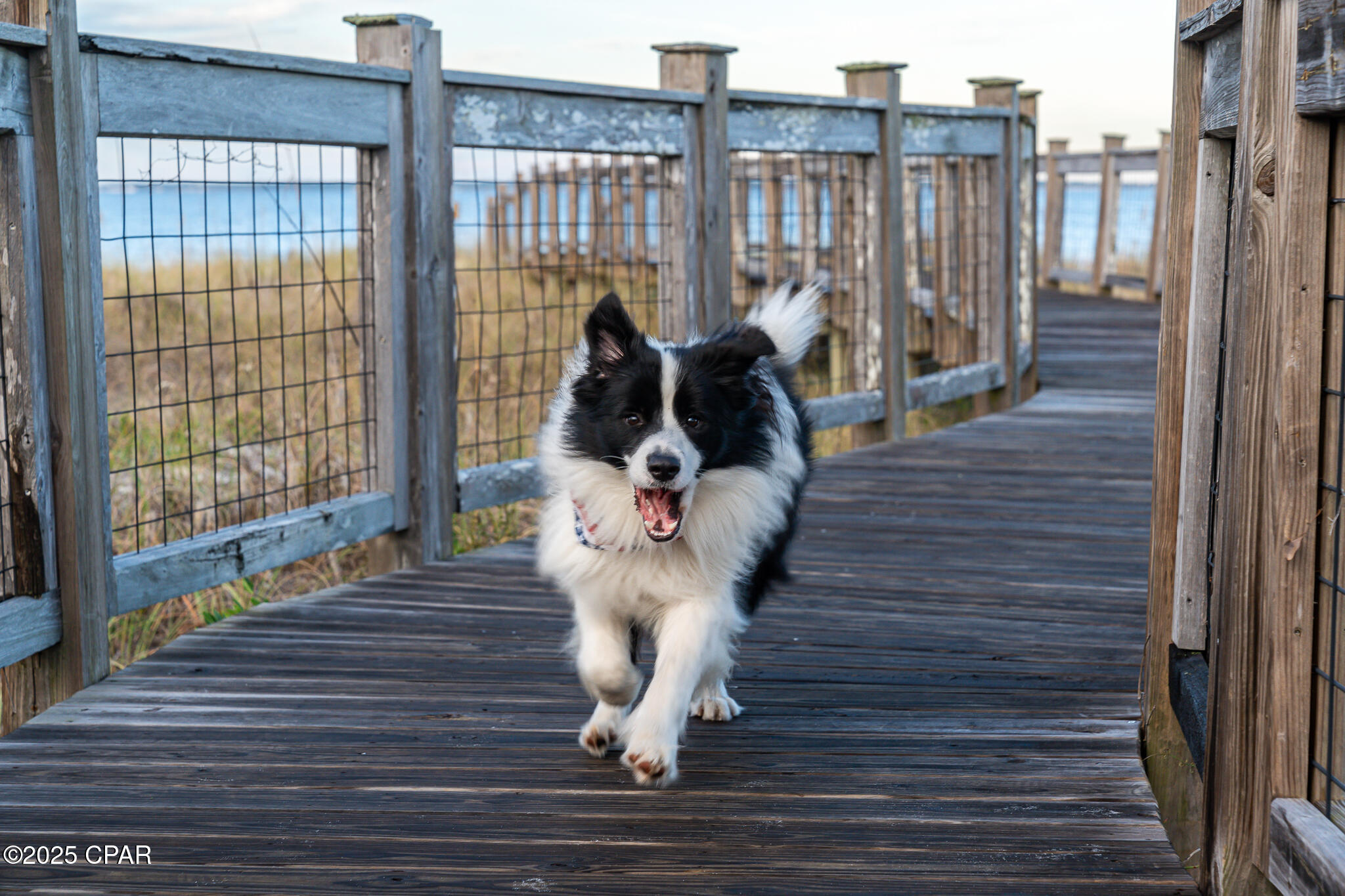 Image 76 For 136 Oak Street