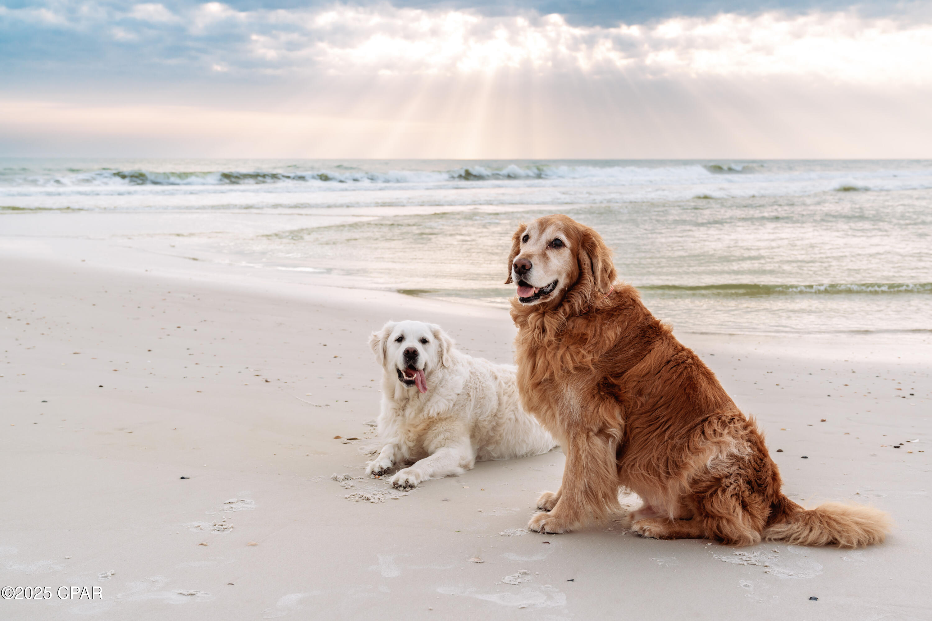 Image 77 For 136 Oak Street