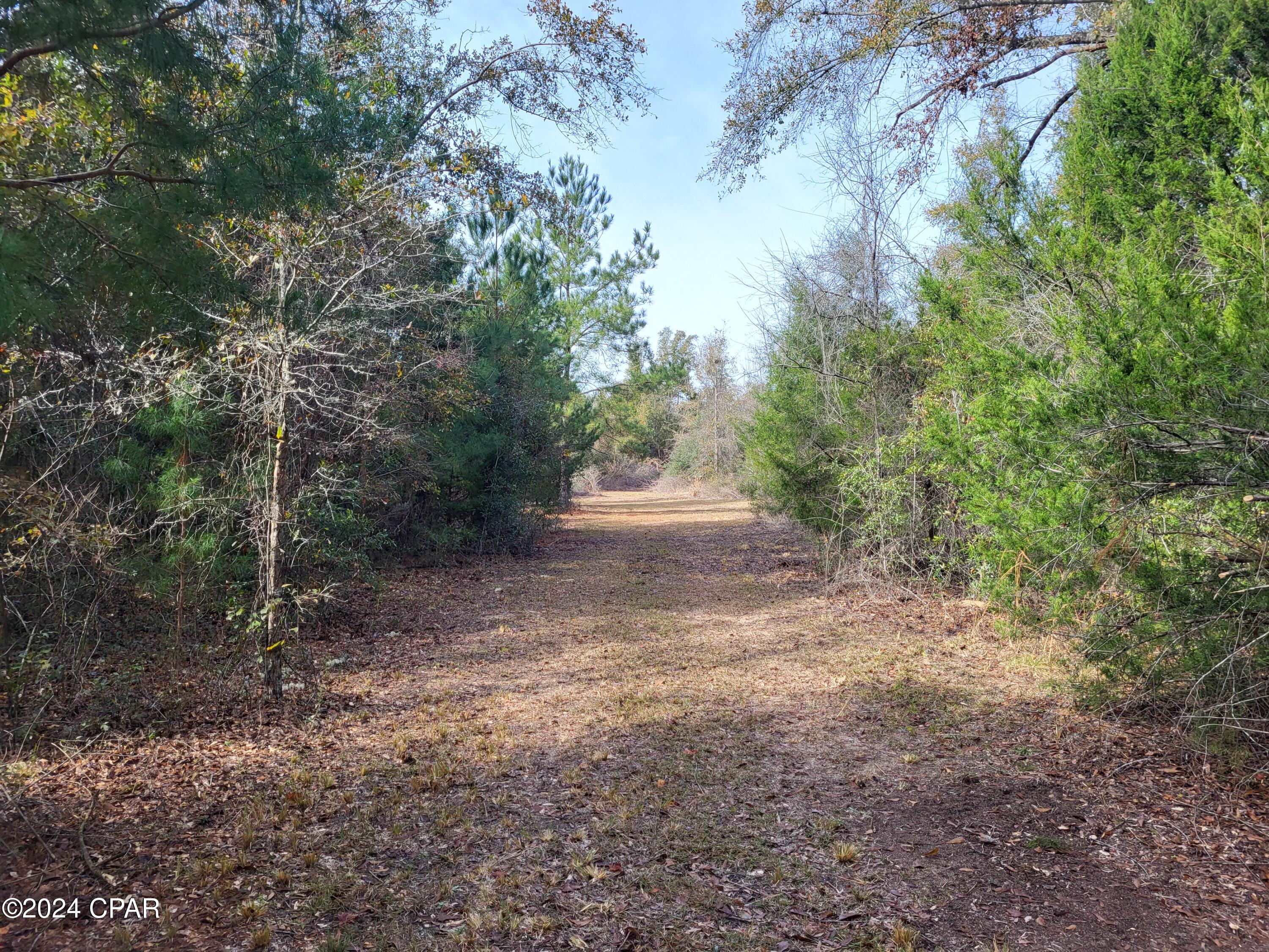 1st image of 00 Tommy Tucker Rd #Lot 4, Altha, FL 32421 | MLS# 751460