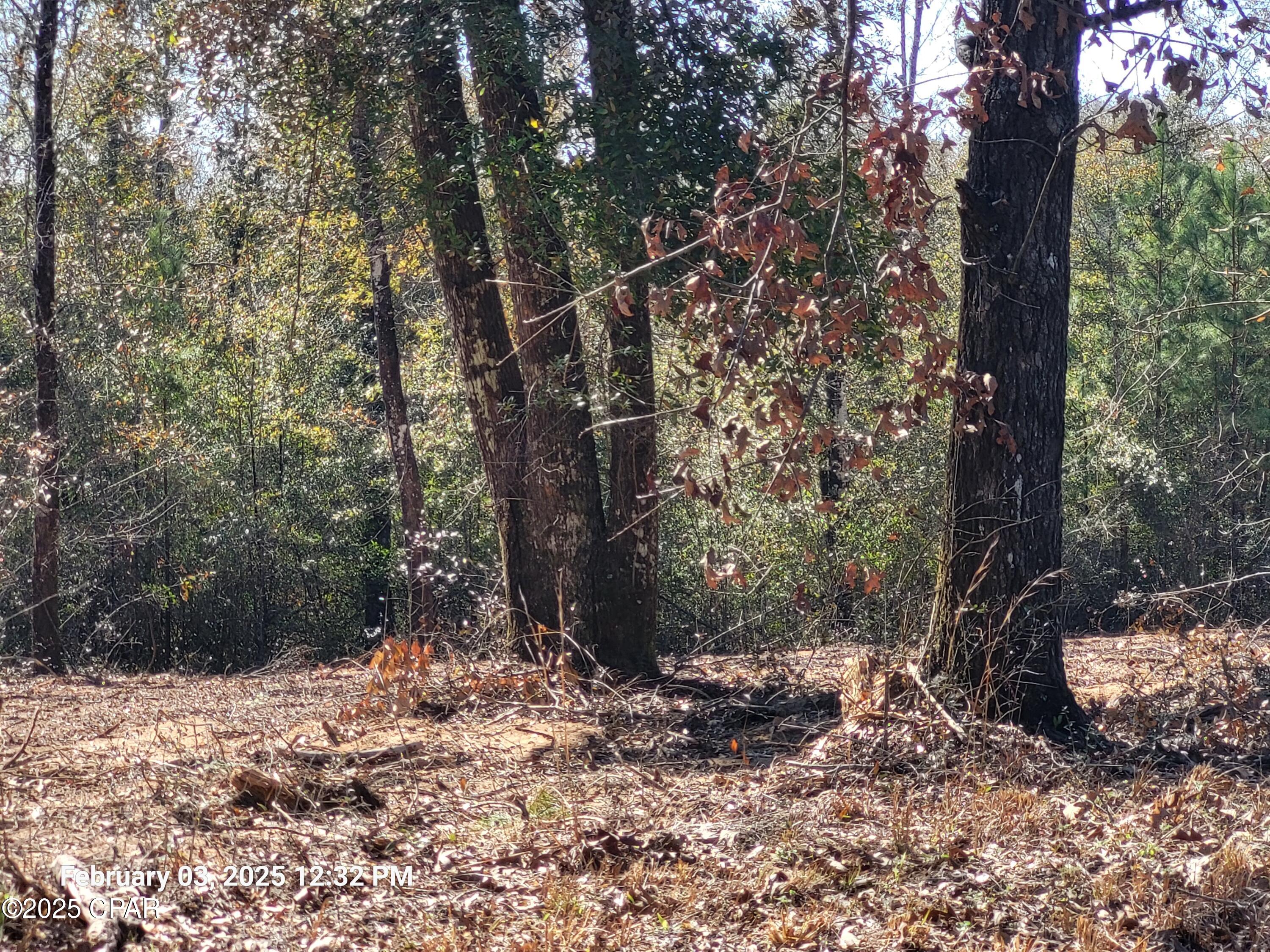 4th image of 00 Tommy Tucker Rd #Lot 4, Altha, FL 32421 | MLS# 751460