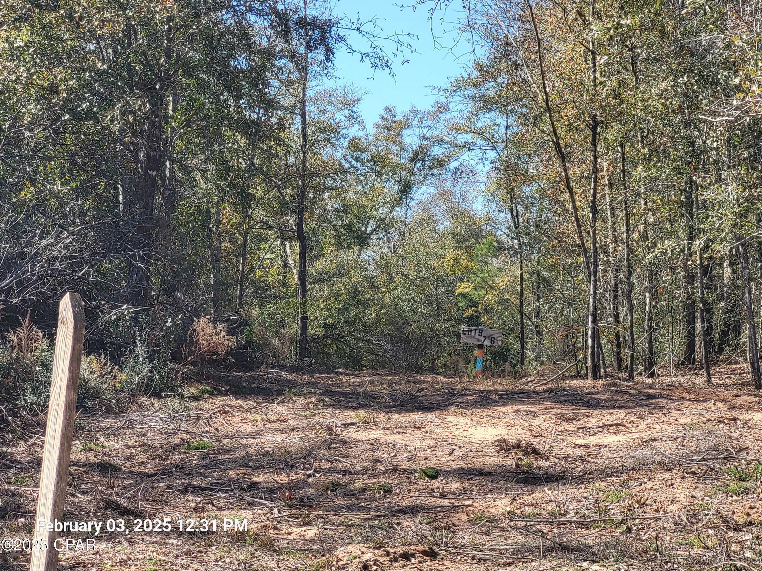 Image 10 For 00 Tommy Tucker Road Lot 3