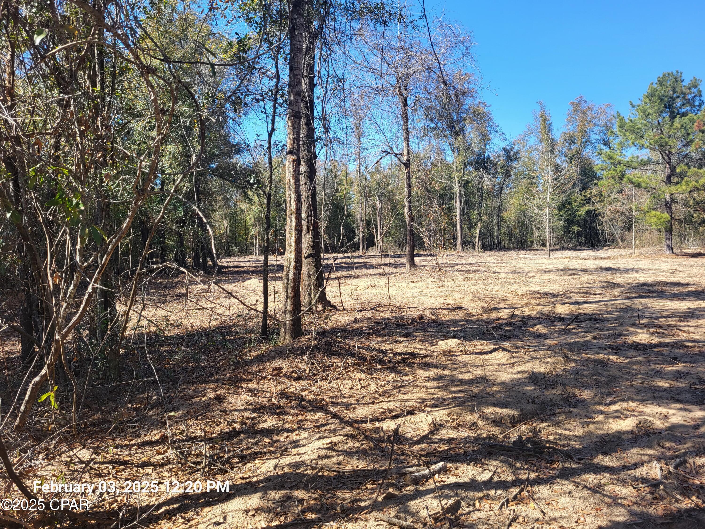 Image 12 For 00 Tommy Tucker Road Lot 3