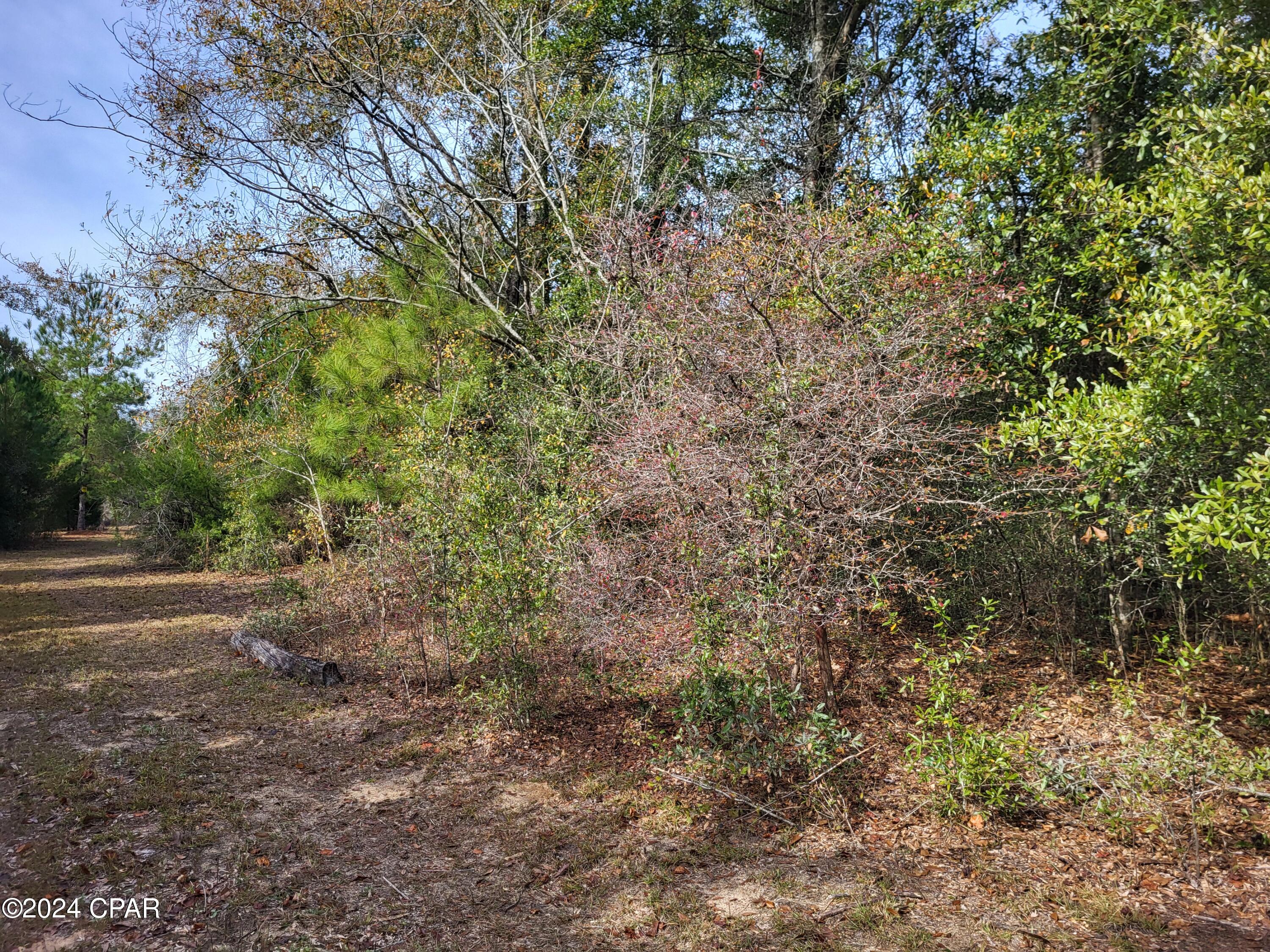Image 17 For 00 Tommy Tucker Road Lot 3