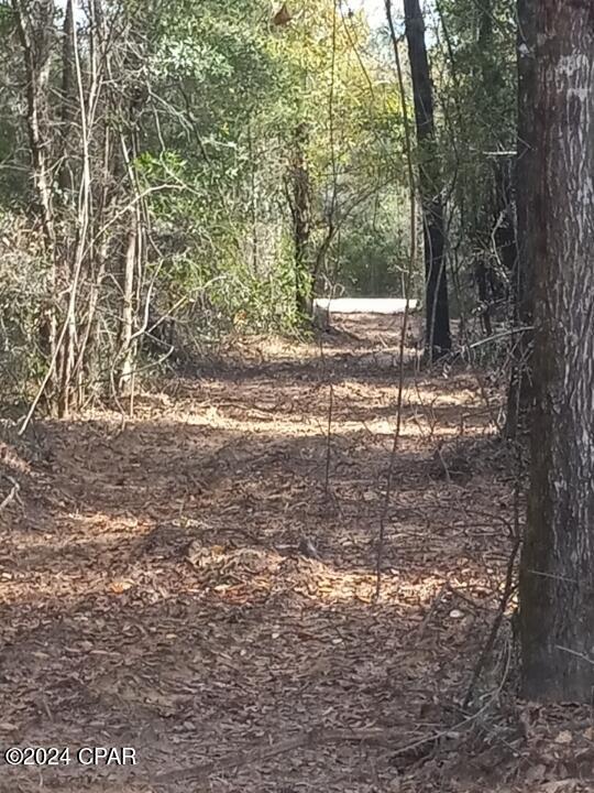 Image 21 For 00 Tommy Tucker Road Lot 3