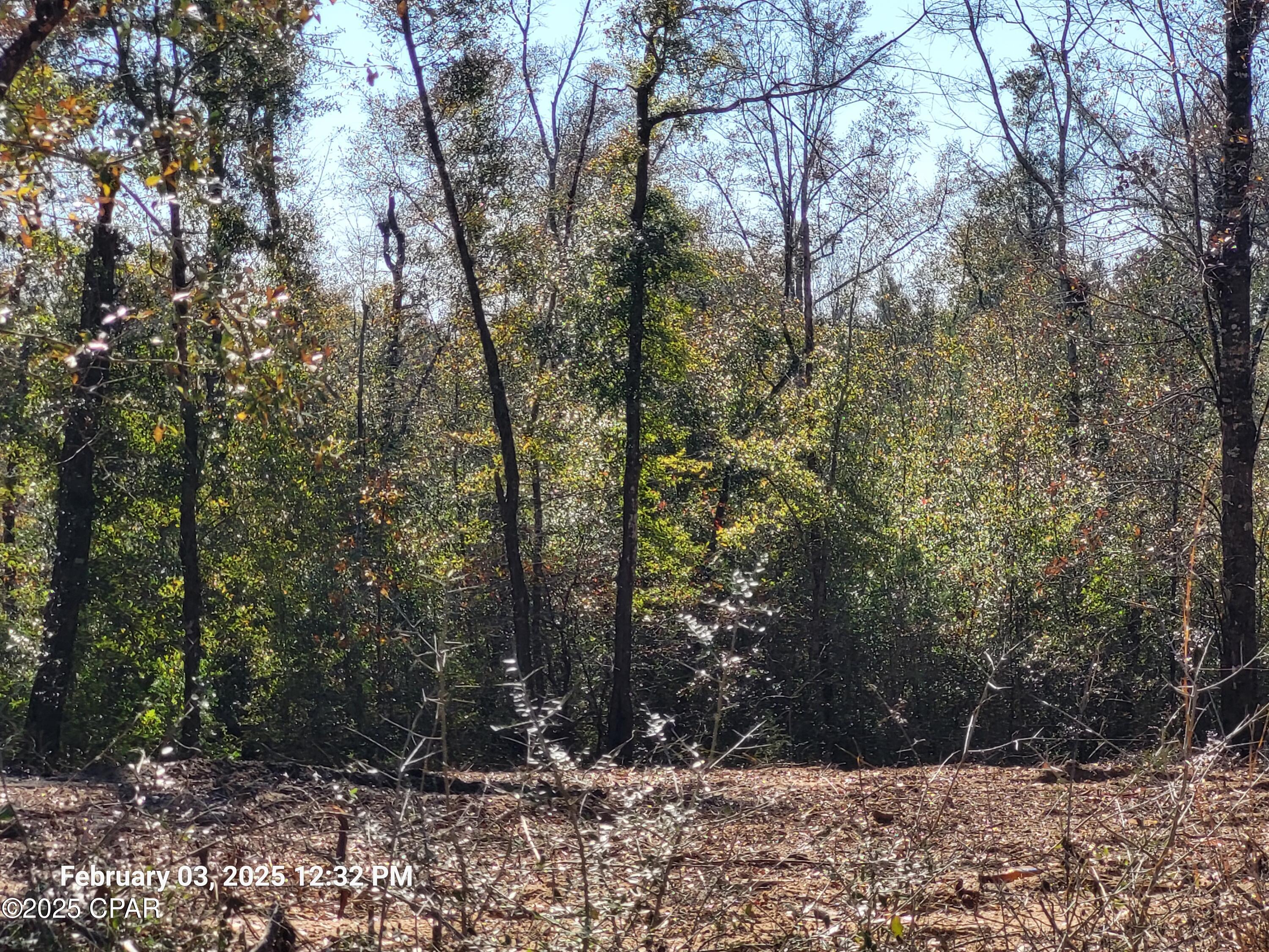 Image 24 For 00 Tommy Tucker Road Lot 3