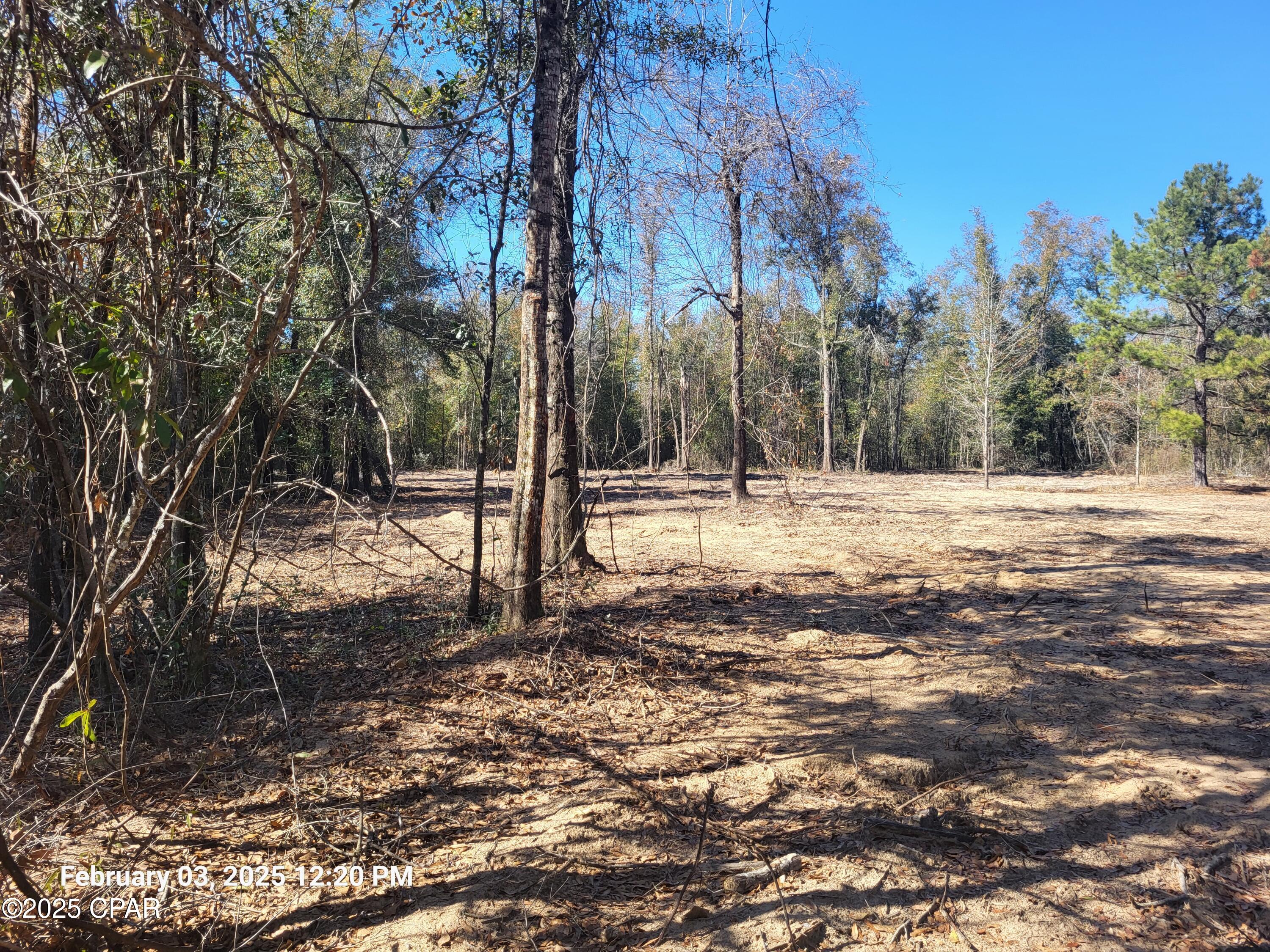 Details for 00 Tommy Tucker Road Lot 2, Altha, FL 32421