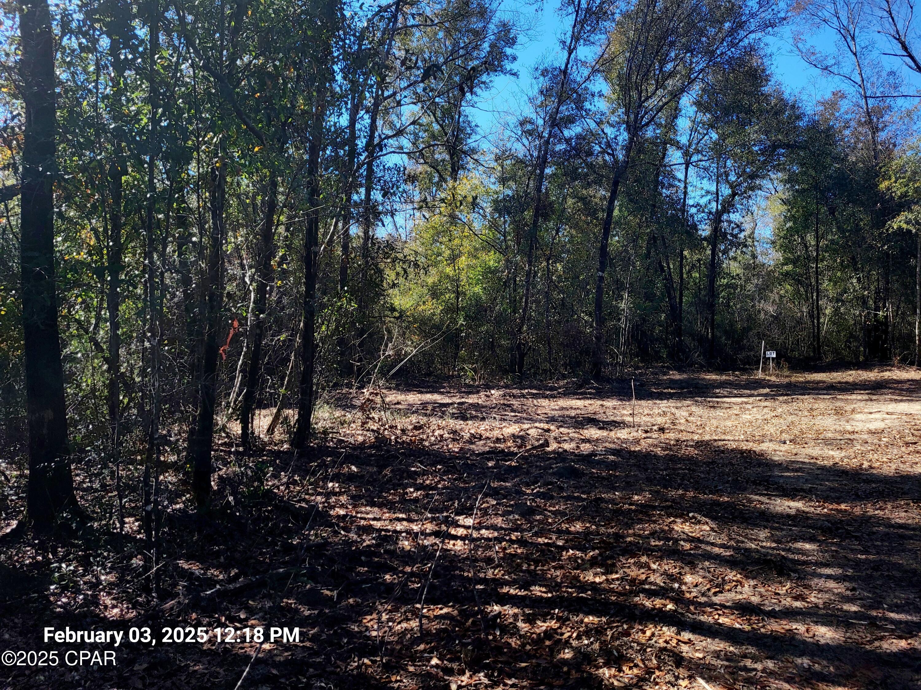 Image 16 For 00 Tommy Tucker Road Lot 2