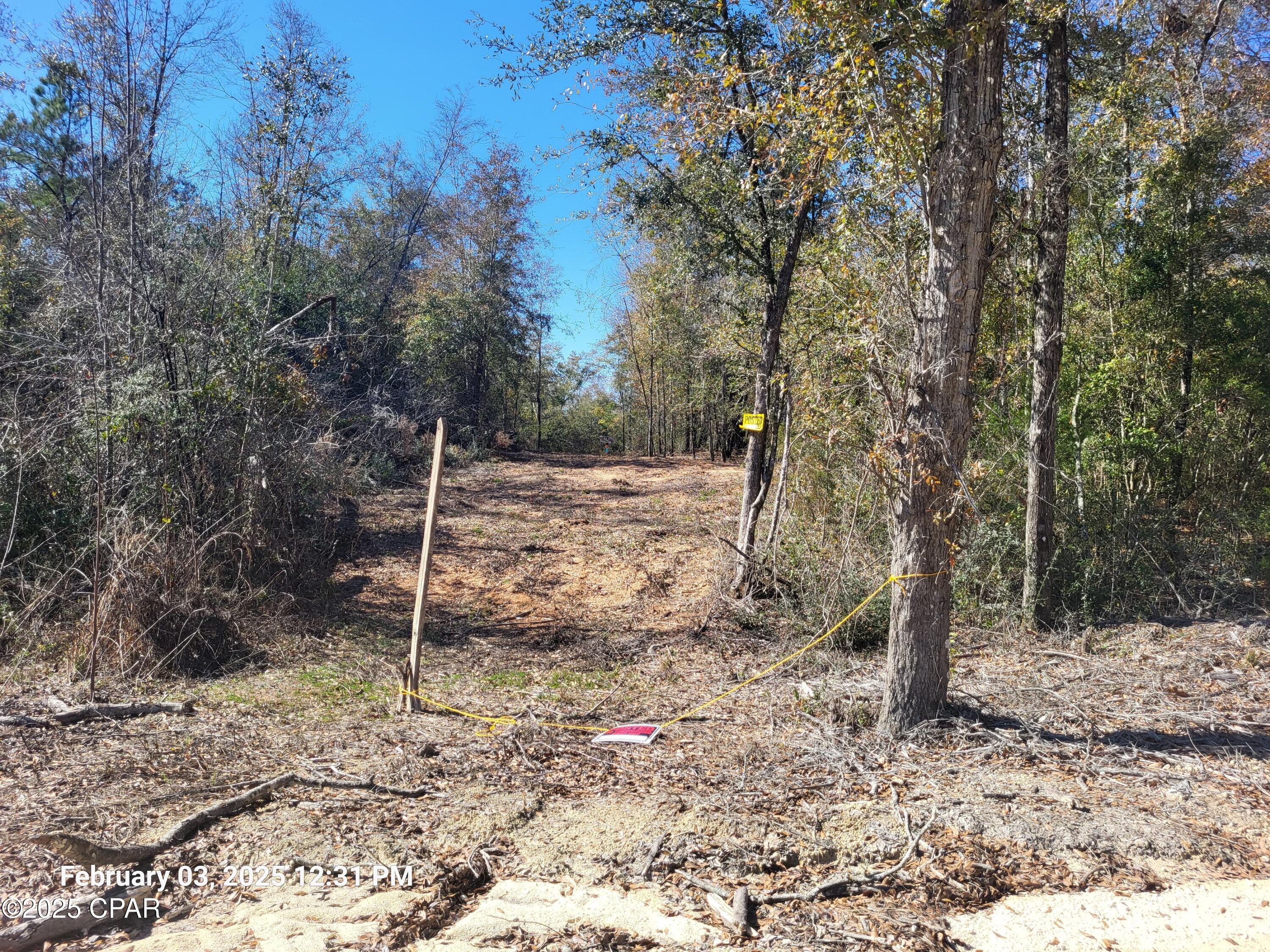 Details for Lot 8 Womble Road, Altha, FL 32421
