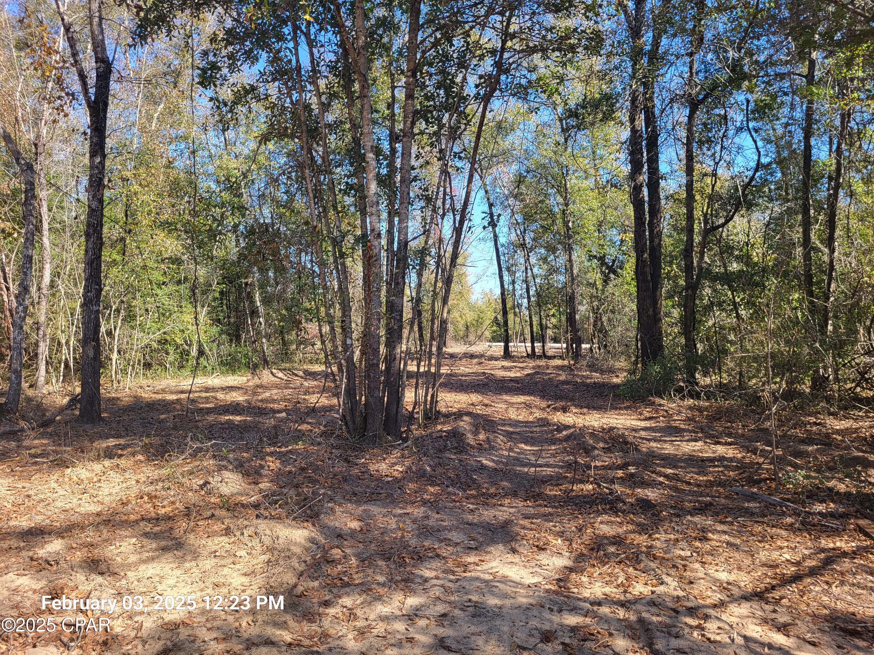 Details for 00 Tommy Tucker Road Lot 1, Altha, FL 32421