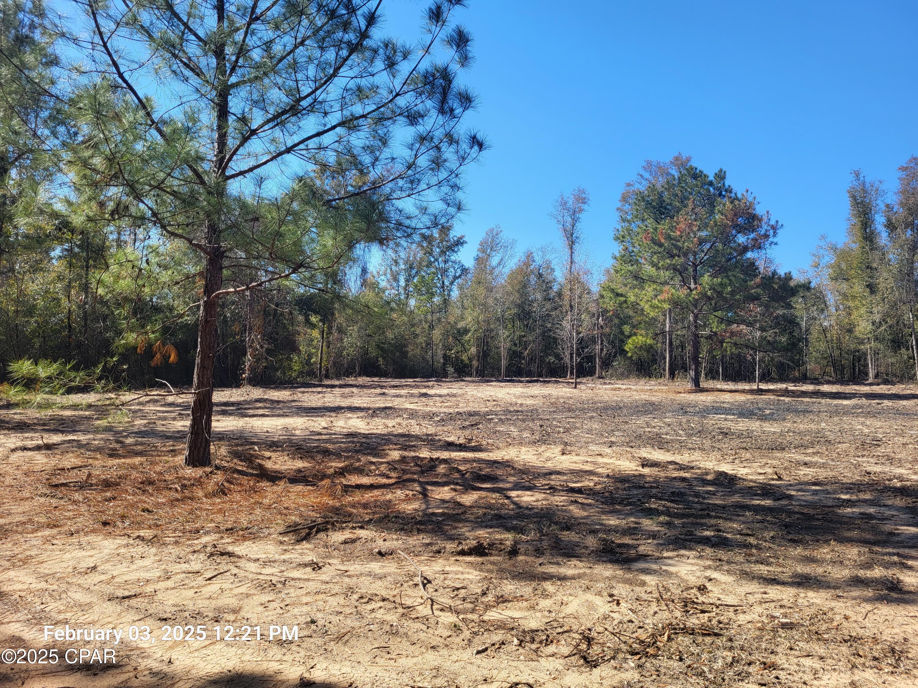 Image 6 For 00 Tommy Tucker Road Lot 1