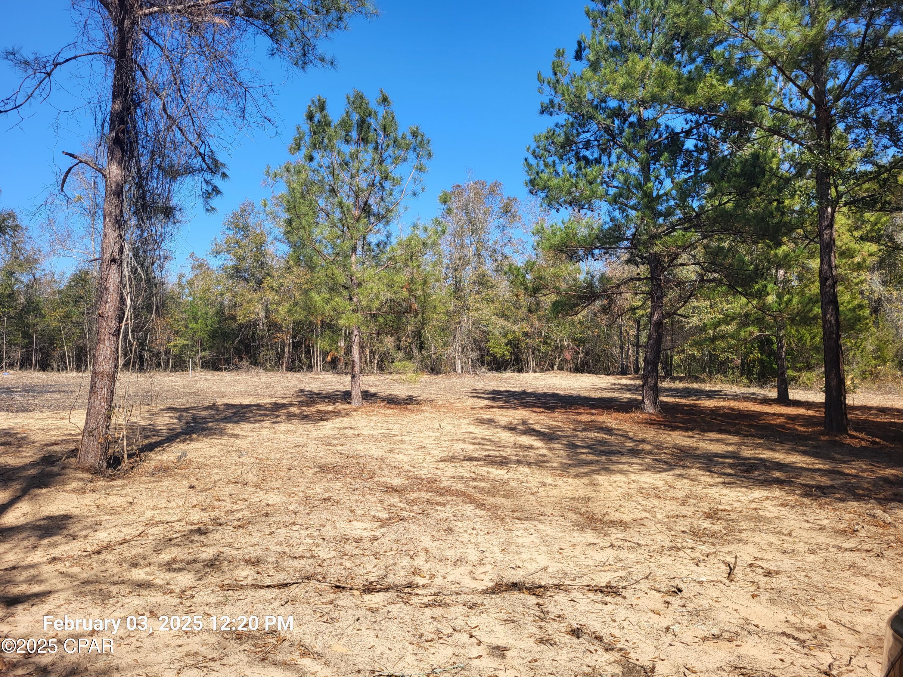 Image 7 For 00 Tommy Tucker Road Lot 1