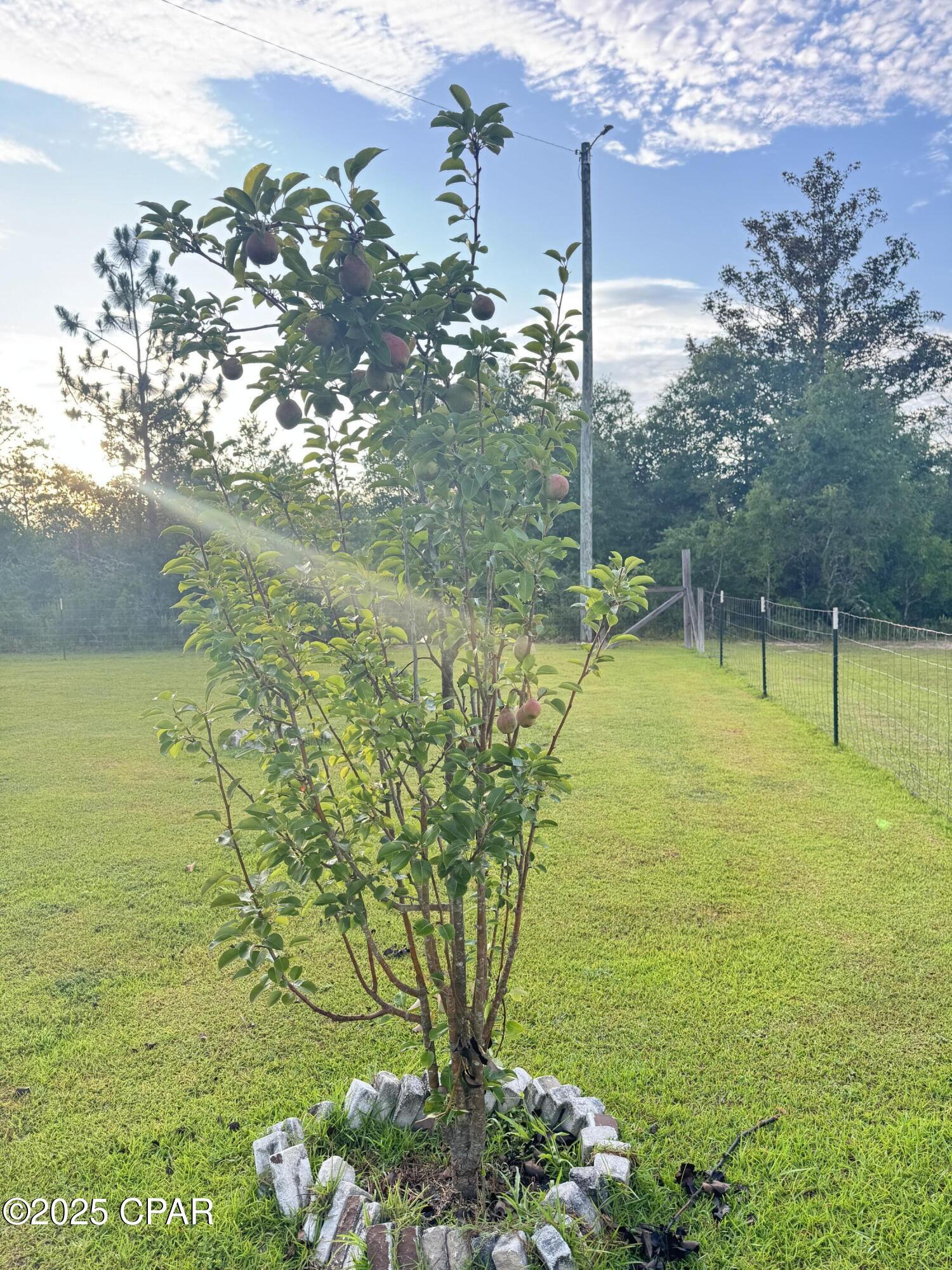 Image 57 For 490 Quail Hollow Boulevard