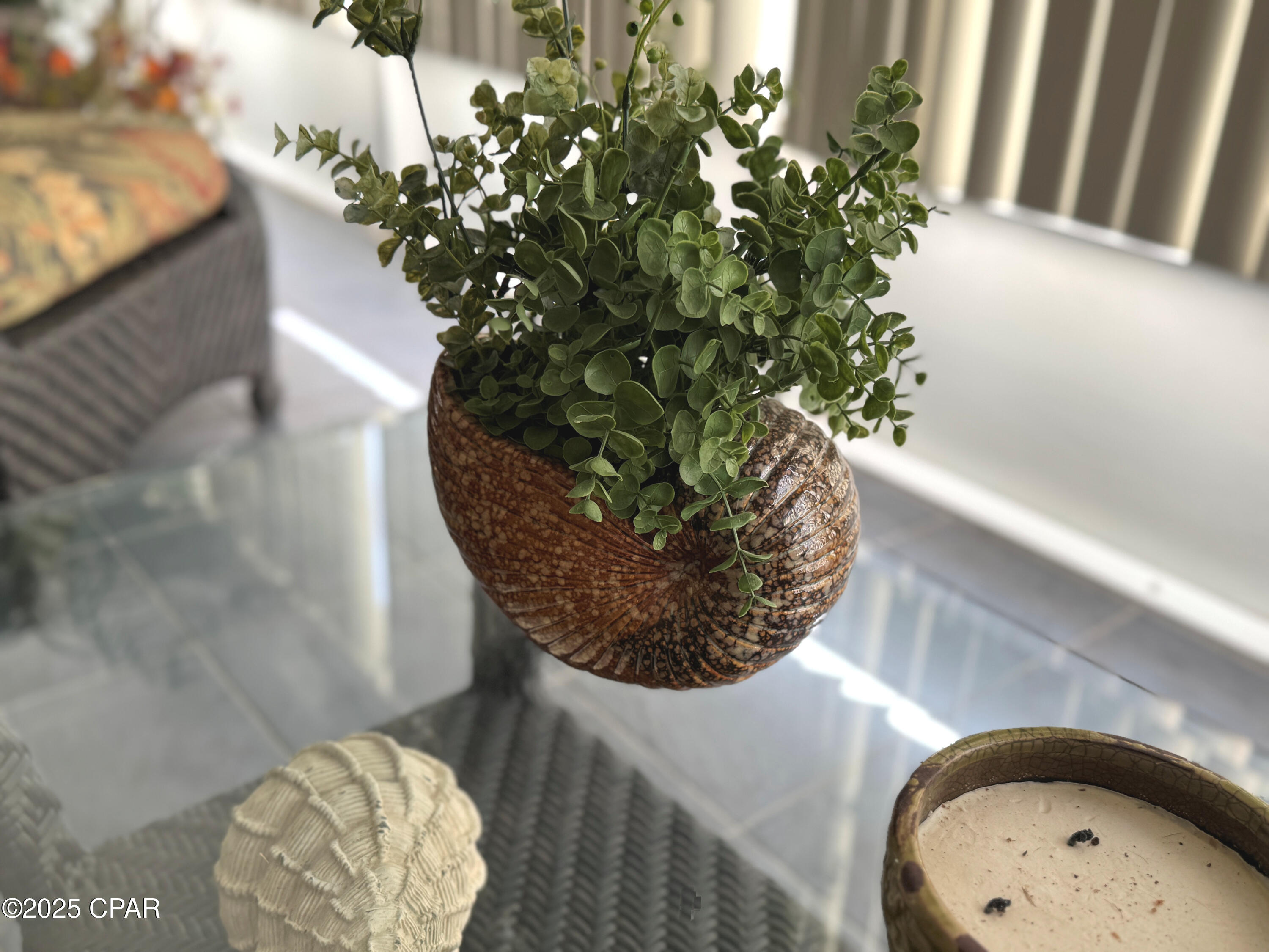 Image 15 For 219 Oxford Avenue