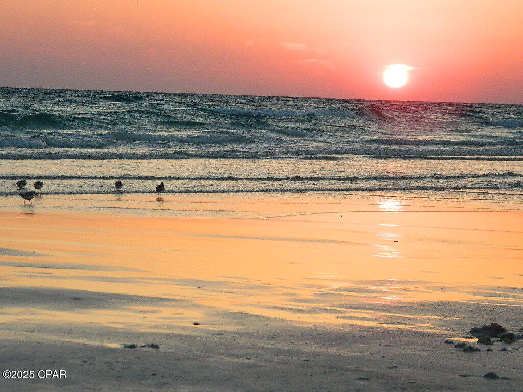 Image 48 For 219 Oxford Avenue