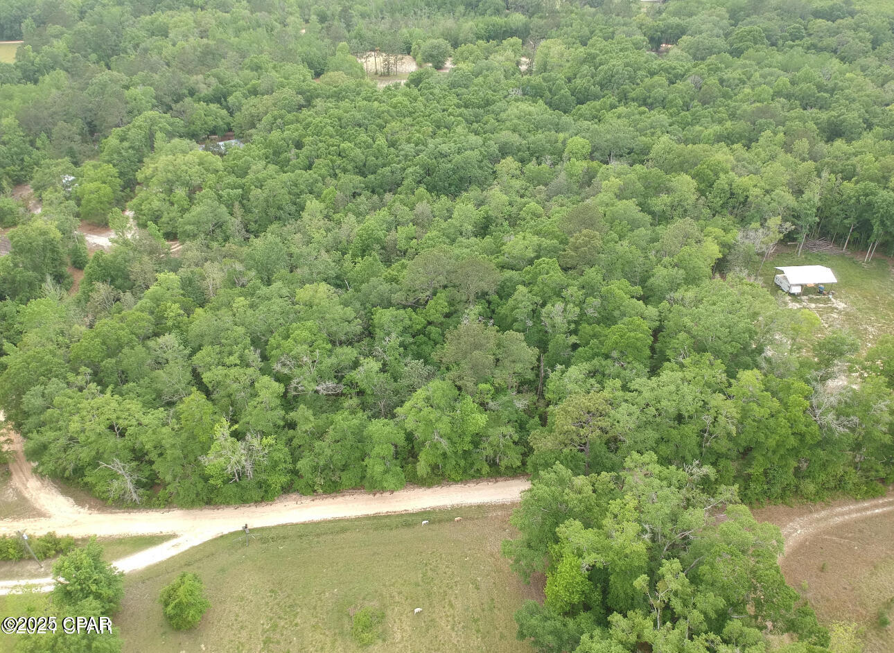 Details for 6.67 Ac Goat Forehand Lane, Bonifay, FL 32425