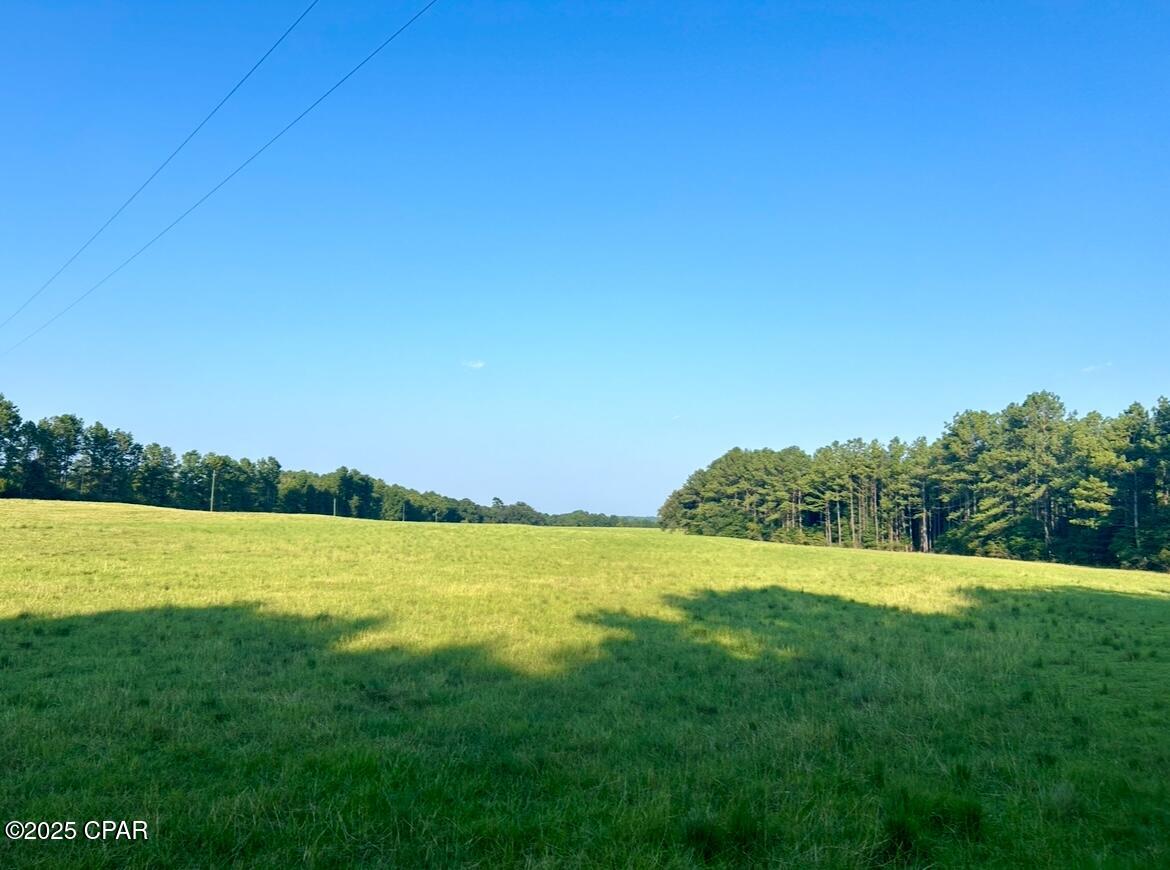 Image 10 For 8645 Moores Mill Creek Road