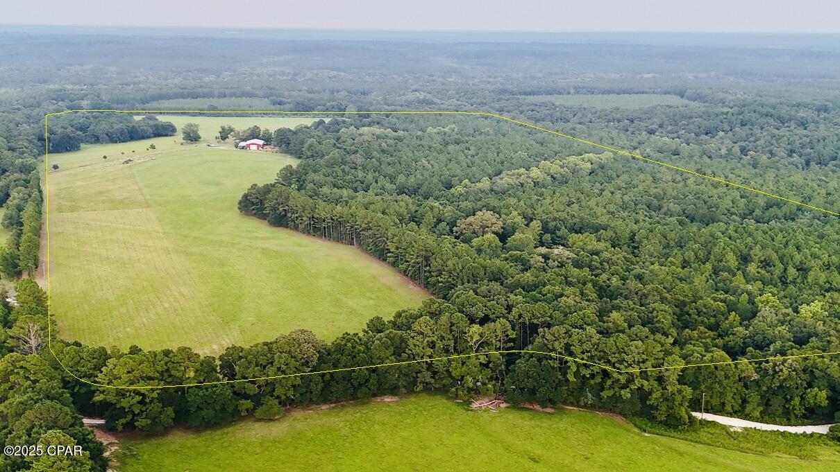 Image 12 For 8645 Moores Mill Creek Road