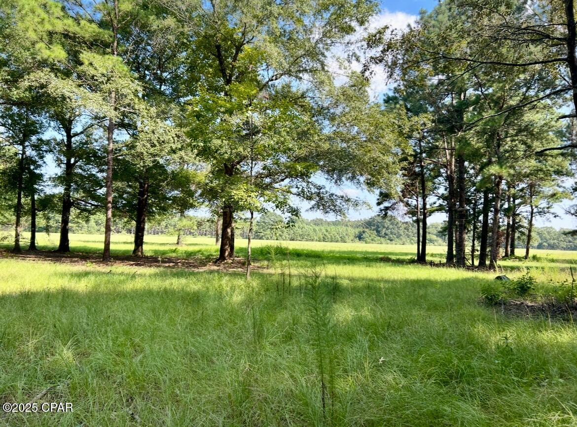 Image 13 For 8645 Moores Mill Creek Road