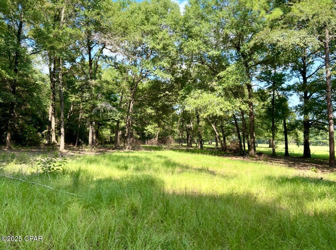 Image 14 For 8645 Moores Mill Creek Road