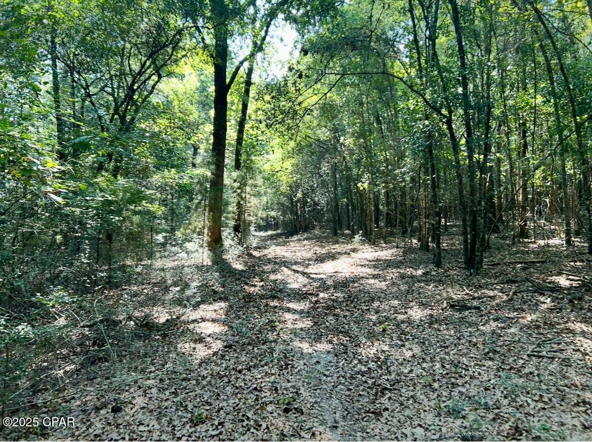 Image 15 For 8645 Moores Mill Creek Road