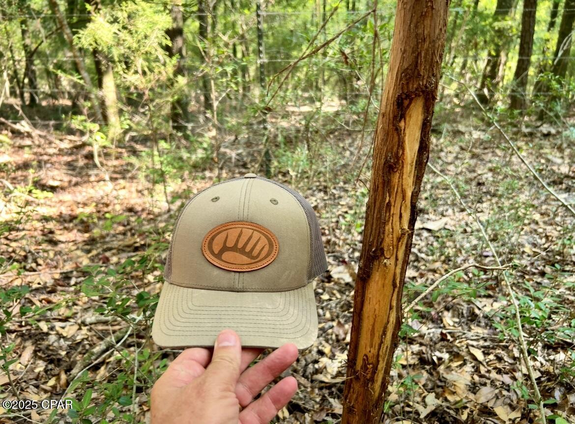 Image 16 For 8645 Moores Mill Creek Road