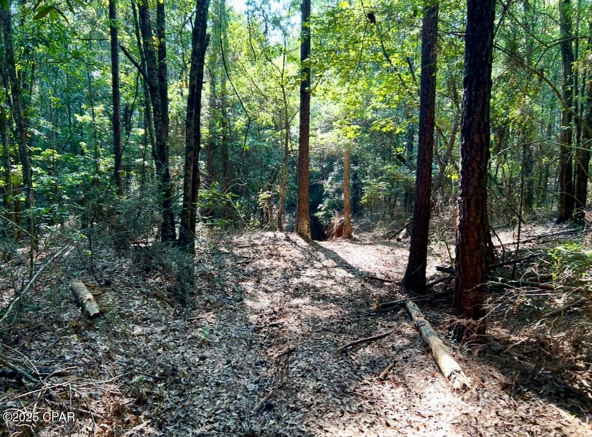 Image 17 For 8645 Moores Mill Creek Road