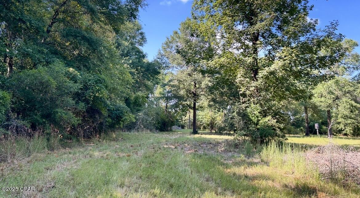 Image 18 For 8645 Moores Mill Creek Road