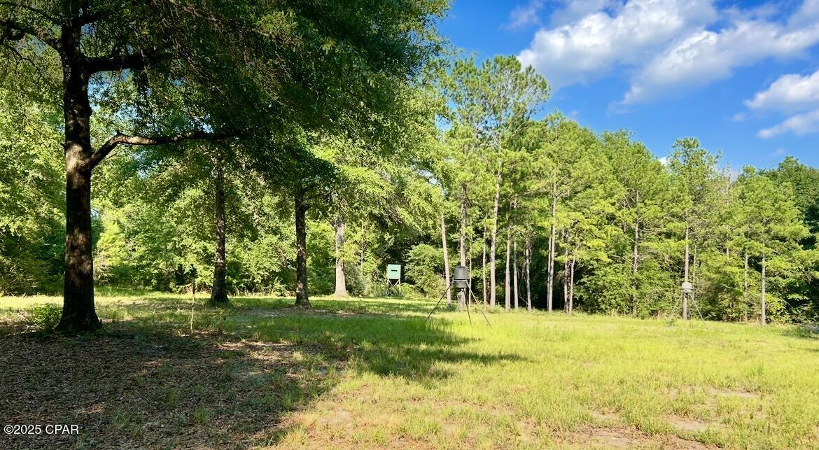 Image 20 For 8645 Moores Mill Creek Road