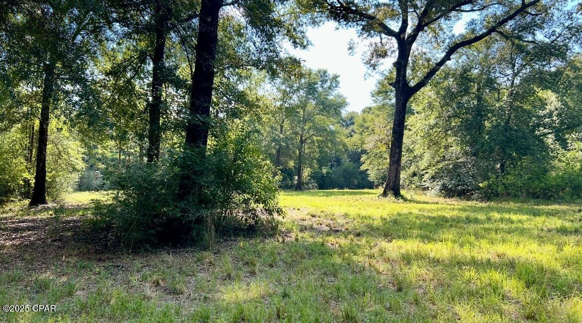 Image 21 For 8645 Moores Mill Creek Road