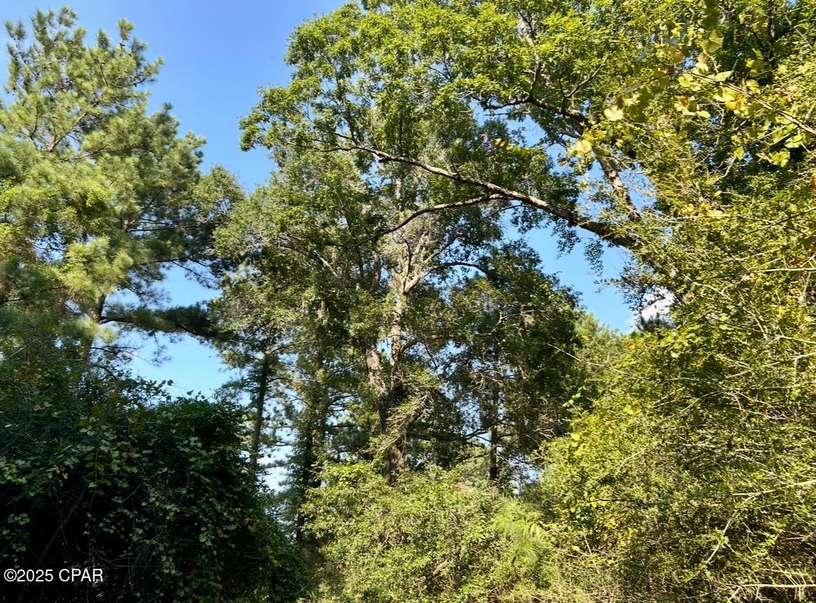 Image 22 For 8645 Moores Mill Creek Road