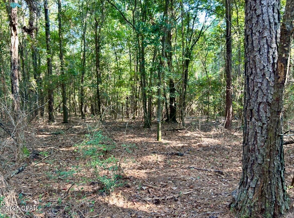 Image 23 For 8645 Moores Mill Creek Road