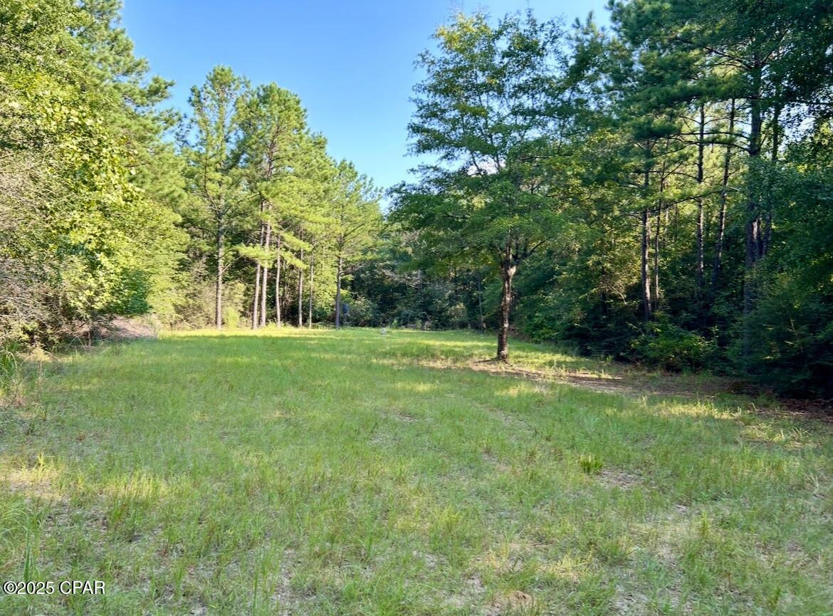 Image 25 For 8645 Moores Mill Creek Road