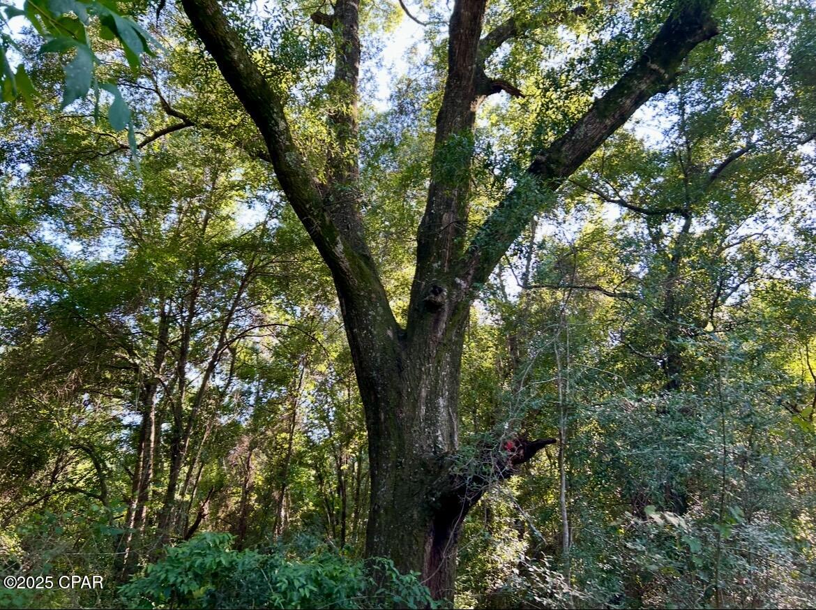 Image 26 For 8645 Moores Mill Creek Road