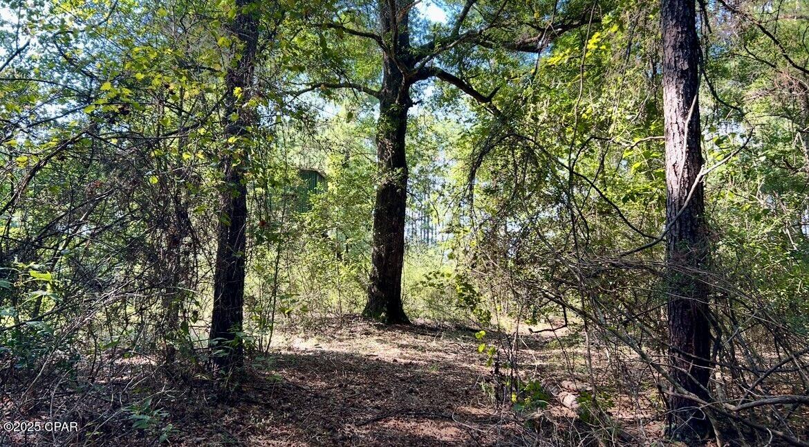 Image 27 For 8645 Moores Mill Creek Road